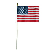 6" x 9" Mini U.S. Flag