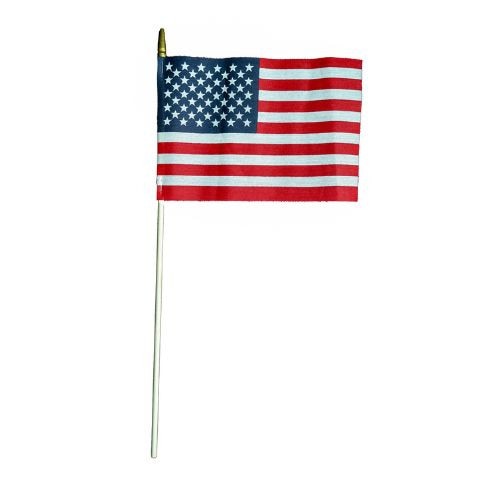 6" x 9" Mini U.S. Flag