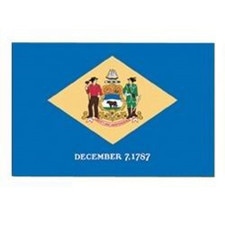 3' X 5' Nylon Delaware Flag Banner