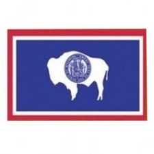 Nylon Wyoming Flag Banner