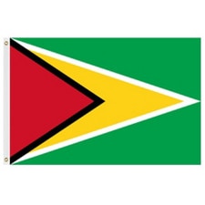 Guyana national flag design
