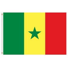 Senegal flag with green yellow red