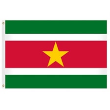Suriname national flag design
