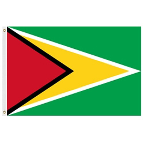 flag of guyana red yellow green