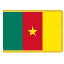 Cameroon flag with star design