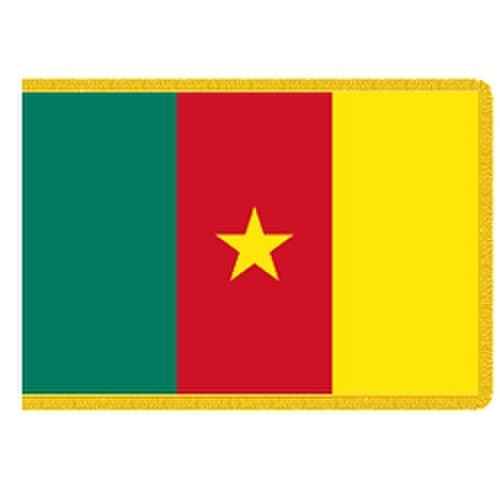 Cameroon flag with star design