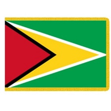 Flag of Guyana with triangular desi