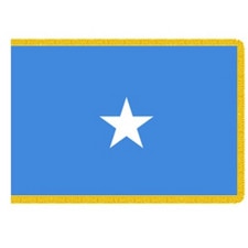 flag with blue background and star
