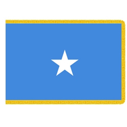 flag with blue background and star