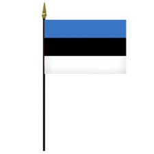 Estonian flag on pole