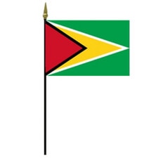 Guyana flag on a flagpole