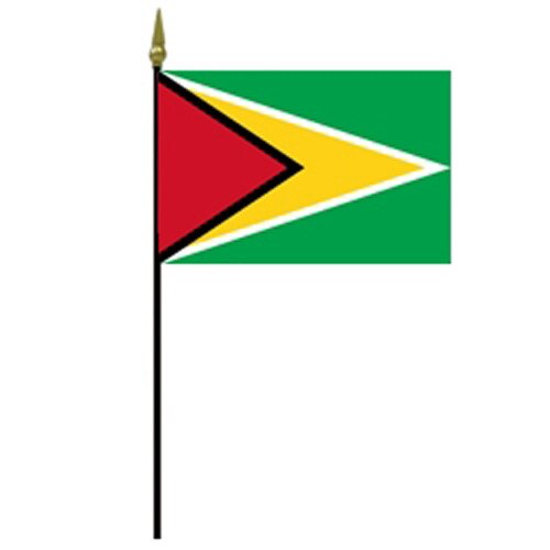 Guyana flag on a flagpole