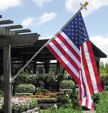 flag on pole in garden area