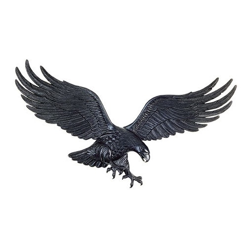black eagle with spread wings
