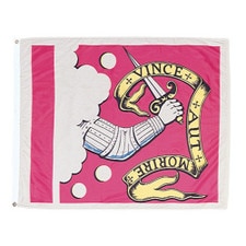 armored arm holding sword flag