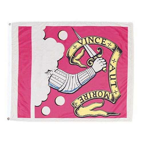 armored arm holding sword flag