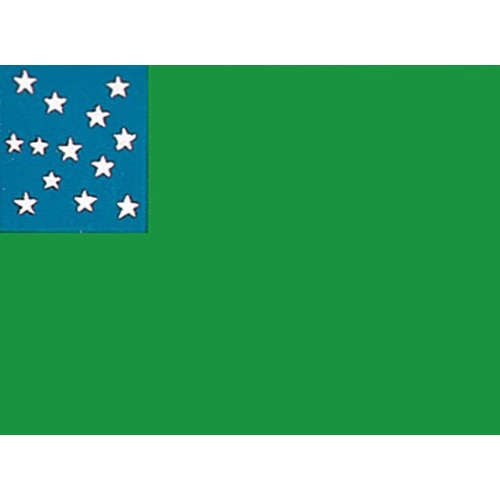 green flag with blue star field