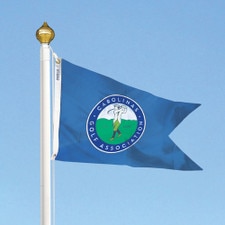 Carolinas Golf Association flag