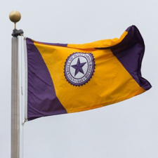 University of Texas Tyler flag