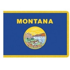 Montana state flag with seal