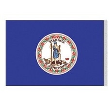 Virginia state flag design