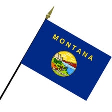 Montana state flag on pole