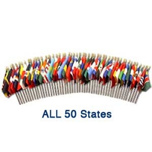 flags representing all 50 states