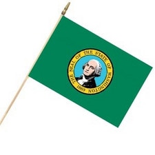 Washington state flag on pole