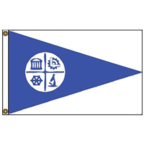 blue flag with symbols and icons