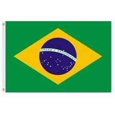 Brazilian flag with green backgroun