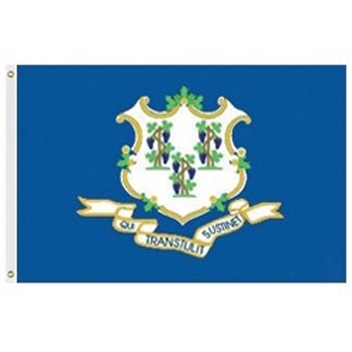 Outdoor Connecticut Flags