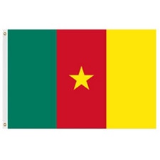 Cameroon flag with star