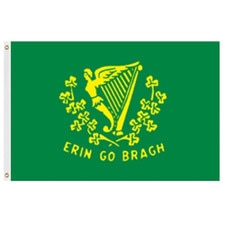 green flag with harp and clovers