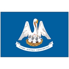 outdoor Louisiana flags