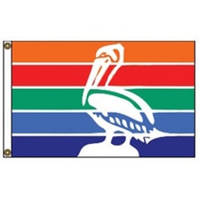 colorful flag with pelican design