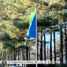 green and blue flag in forest