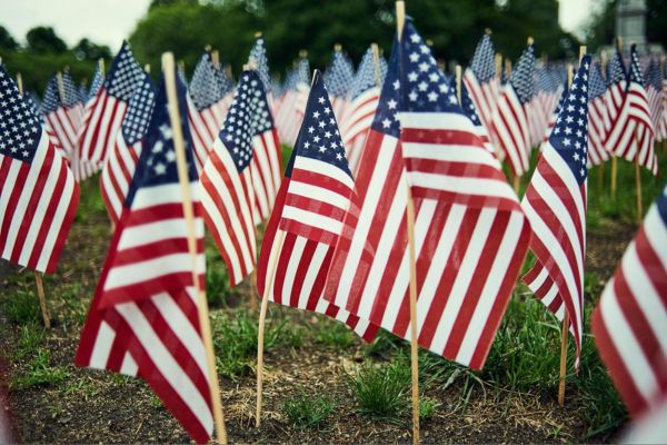 Small American flags on sticks