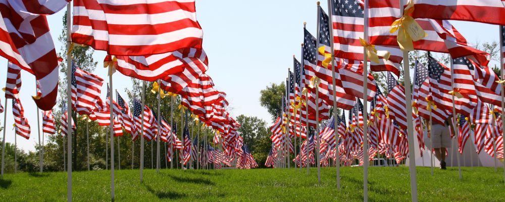 Field of flags